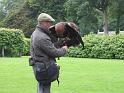 K800_IMG_1969_goldeneagle