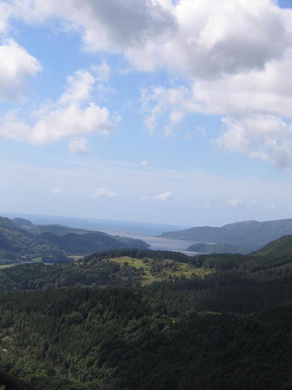 45_Precipice.JPG - Precipice Walk, im Hintergrund: Mawddach Estuary