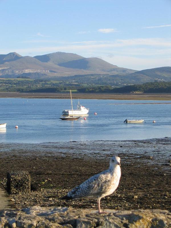51_Beaumaris.JPG - Blick über die Menai Strait in Beaumaris, Anglesey
