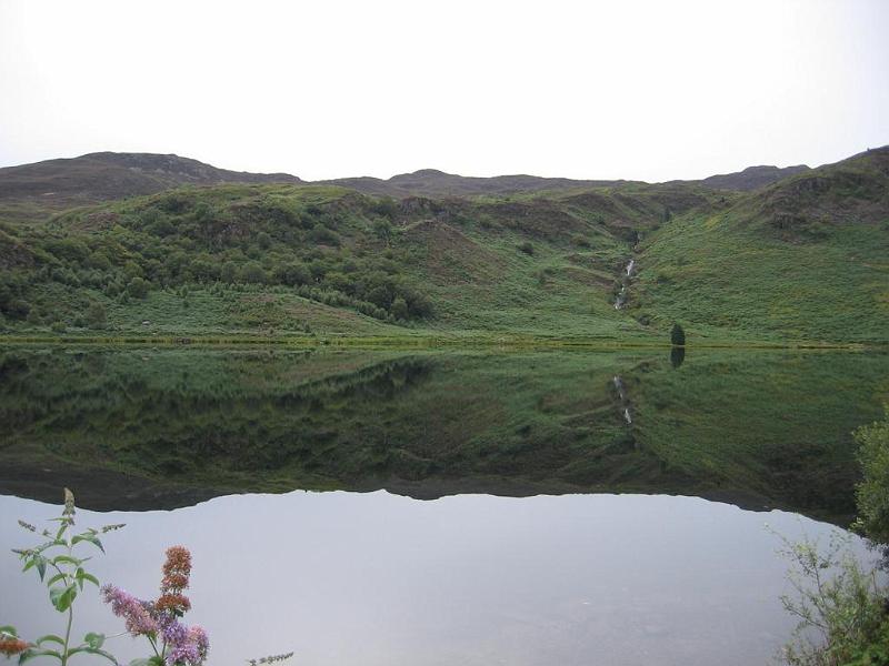 54_Nantgwynant.JPG - Spiegeleffekte, Nantgwynant