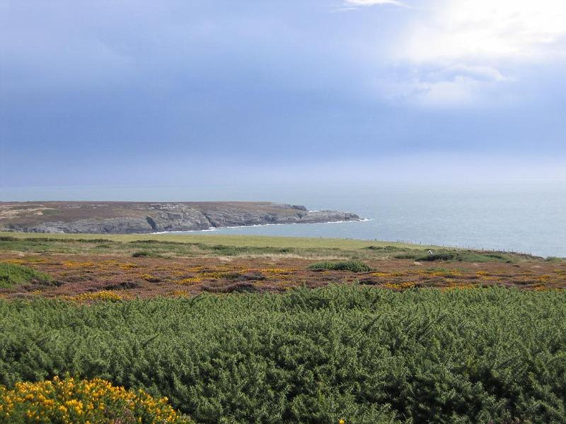 89_Holyhead.JPG - Around Holyhead Mountain, Anglesey