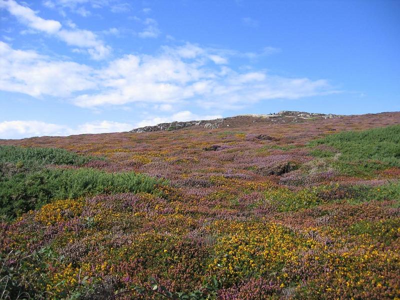 90_Holyhead.JPG - Around Holyhead Mountain, Anglesey