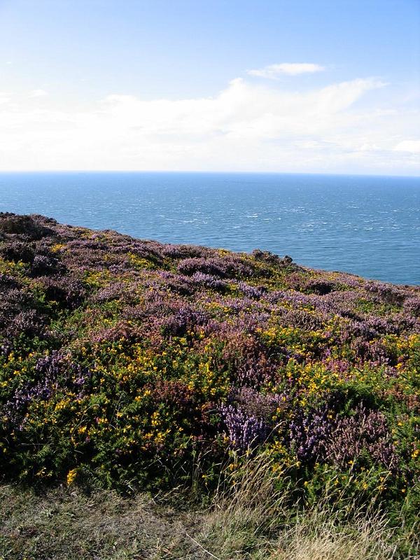 95_Holyhead.JPG - Around Holyhead Mountain