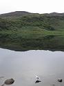55_Nantgwynant