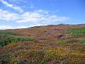 90_Holyhead