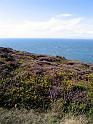 95_Holyhead
